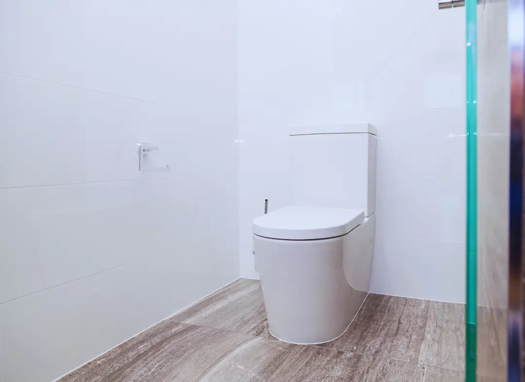 Remplacement de wc Roquebrune-Cap-Martin